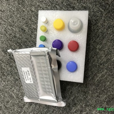 睿信生物 人25羟基维生素D（25-OH-VD）elisa试剂盒