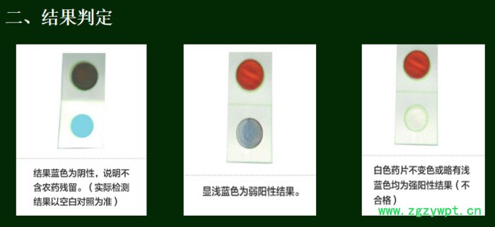 北京六角体 果蔬农残试剂盒  农药残留检测仪
