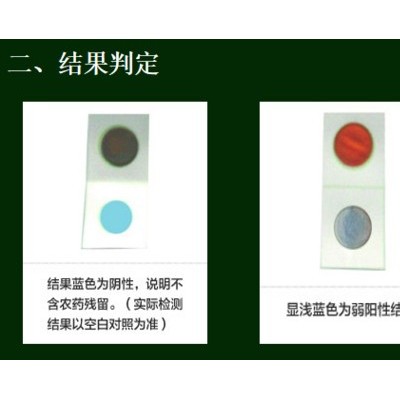 北京六角体 果蔬农残试剂盒  农药残留检测仪