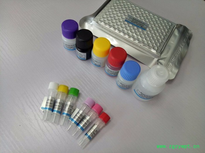 蓝图110001人内脂素（VF）定量检测试剂盒（ELISA）图2