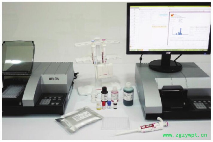 NSW牛流行热（BEF）病毒抗体ELISA试剂盒 5板 科研试剂图3