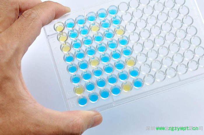 兔子高迁移率族蛋白B1（HMGB-1）ELISA试剂盒子科ZIKER，兔子ELISA试剂盒