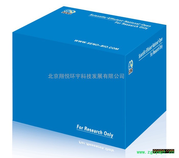 大量植物总RNA提取试剂盒-不含Dnase