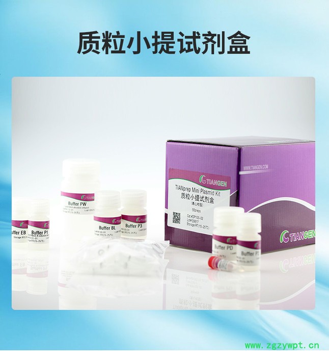 天根 质粒小提试剂盒 DP103-03 提取质粒试剂盒200次图2