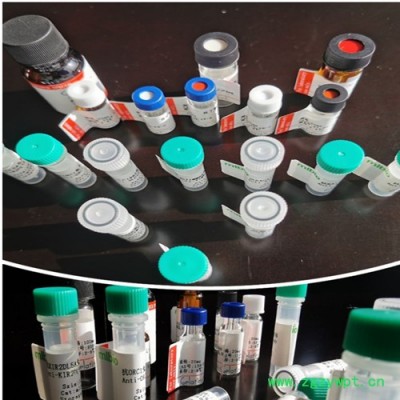 免疫组化试剂盒（适用于兔/小鼠一抗）