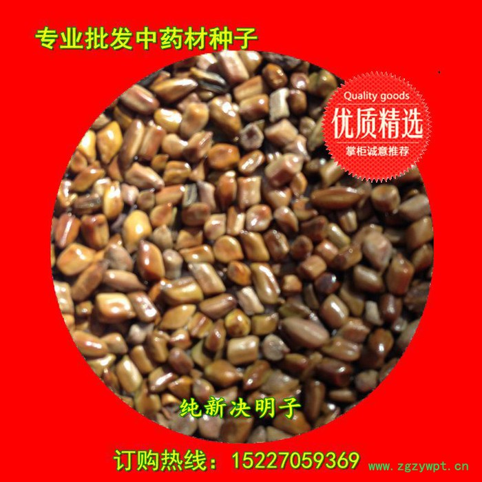 【龙飞种业】中药材种子/ 决明子种子/草决明种子/决明子种子价格/中药材除草剂/种子种苗/安国市龙飞种子经营部
