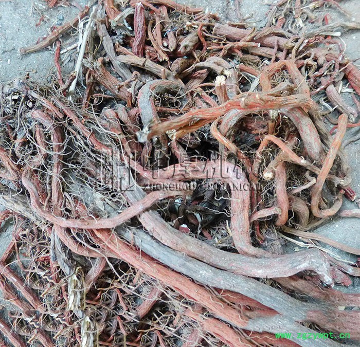 【中厚机械】600型中药丹参超细粉碎机 三七磨粉机 高细度风选木材粉碎机