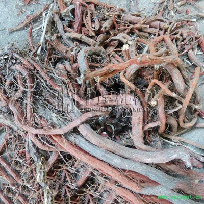 【中厚机械】600型中药丹参超细粉碎机 三七磨粉机 高细度风选木材粉碎机