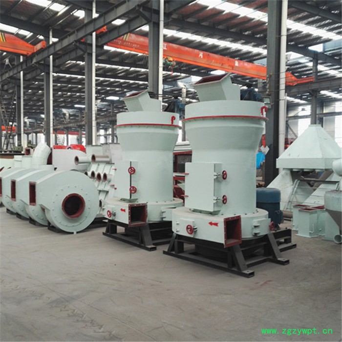 泰航迭岩石雷蒙磨机 菱美砂雷蒙磨粉机 瓷土 磨粉机 紫砂石磨粉机矿石药剂雷蒙磨粉机图2