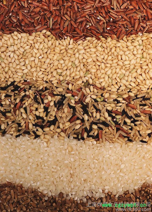 HK-02A中药粉碎机 家用磨粉机 小型粉碎机 高速粉碎机图2