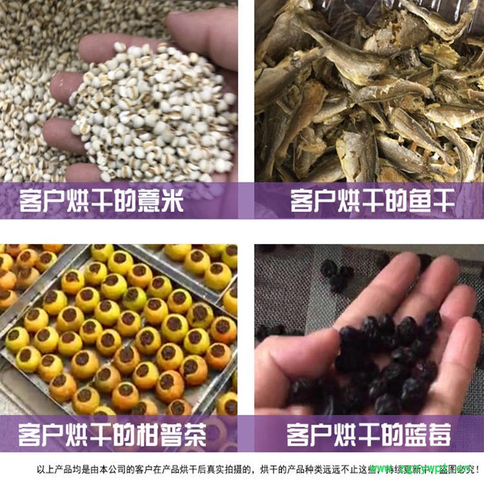 辣椒烘干烘干机 药材干燥烘干机 电热风循环烘干机图4