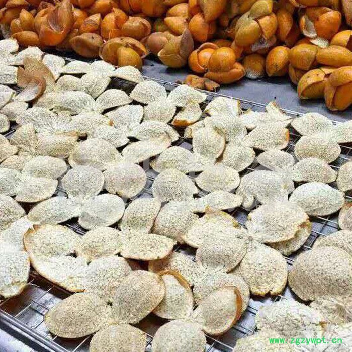 快烘热泵KH-HGJ06HP 枸杞烘干机 药材烘干机 空气能烘干机图3