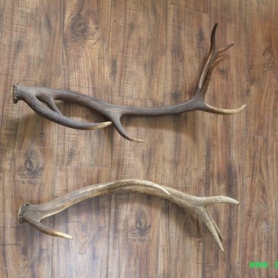 原料药来料加工来料粉碎加工超微粉末 300目中草药来料粉碎加工价格优惠