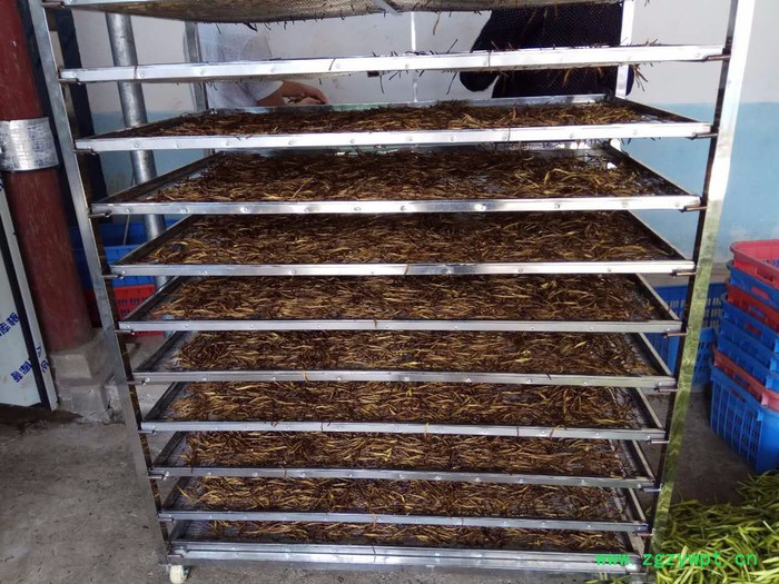 小型烘干机 金蝉花烘干机  药材烘干机图2