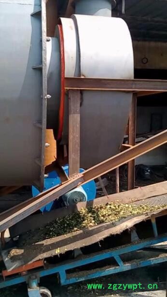 金茂烘干机系列 银杏叶烘干机 茶叶烘干机 药材烘干机 玉米烘干机 酒糟烘干机 厂家现货图3