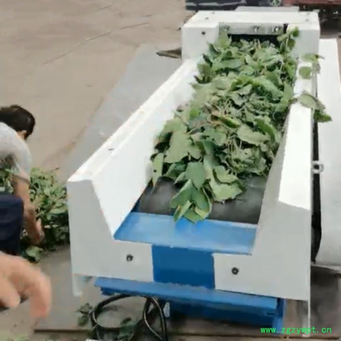 亚美粉碎机 树枝粉碎机 药渣粉碎机 树皮粉碎机厂价图5