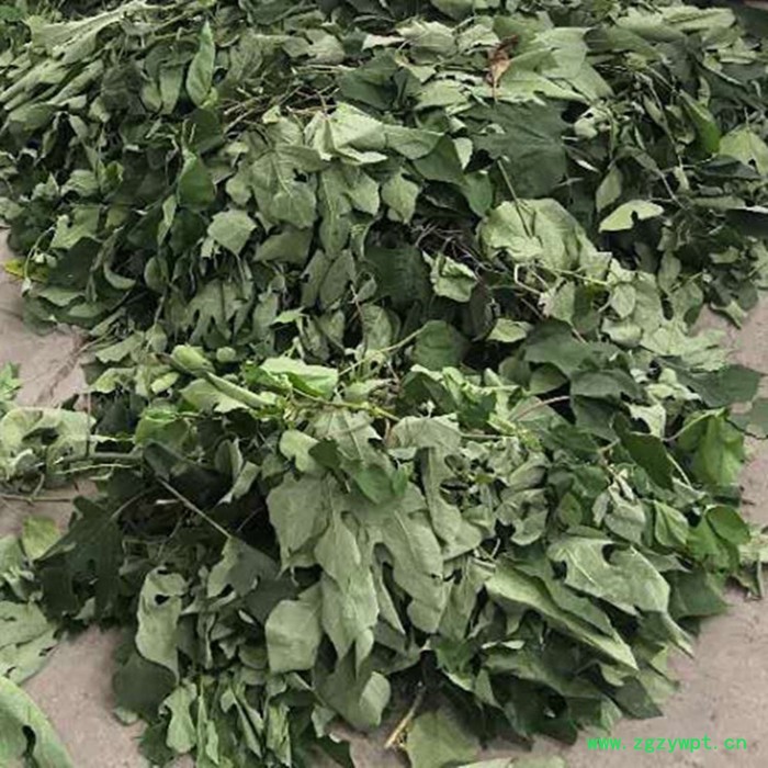 亚美粉碎机 树枝粉碎机 药渣粉碎机 树皮粉碎机厂价图3