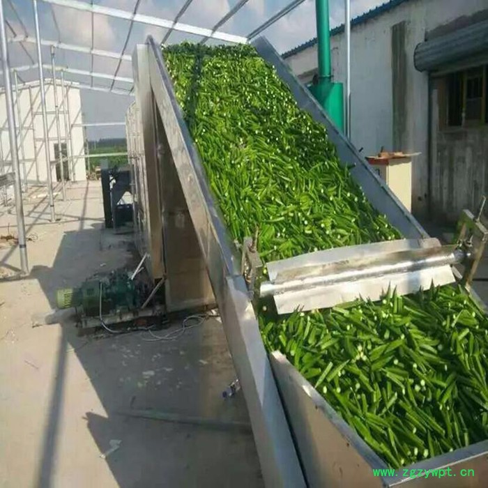 宇诚HGJ-6-4 药材烘干机 各种蔬菜烘干机 药材烘干机多功能蔬菜烘干机**图2