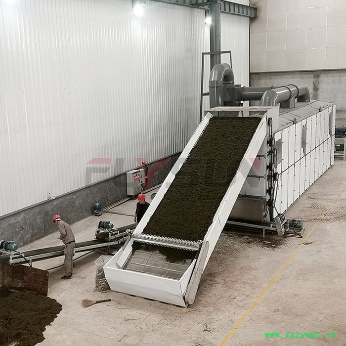 迷迭香烘干机 网带连续式烘干机 中草药烘干机 方信机械图5