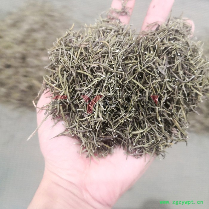 迷迭香烘干机 网带连续式烘干机 中草药烘干机 方信机械图3