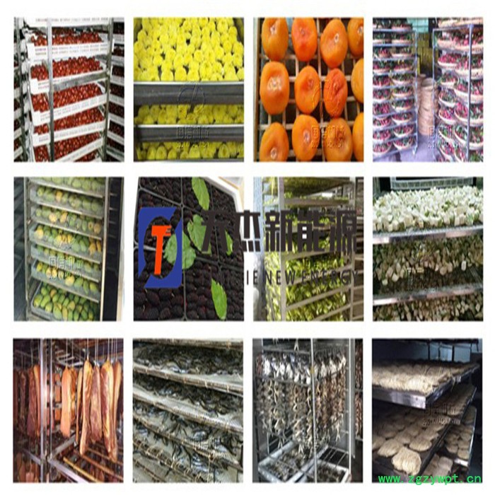 天杰 药瓜皮烘干机 小型药瓜皮烘干机 药瓜皮烘干机设备 药瓜皮烘干机厂家图4