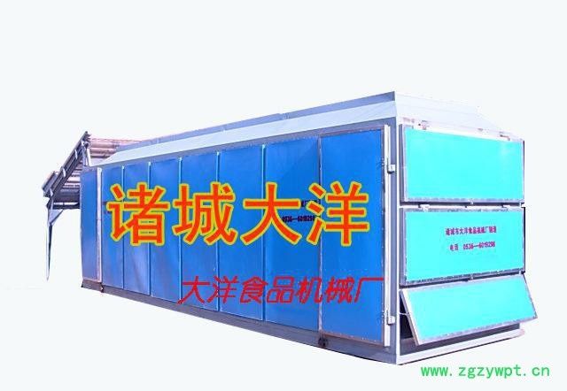土豆片烘干机，大洋牌牌药材烘干机图2