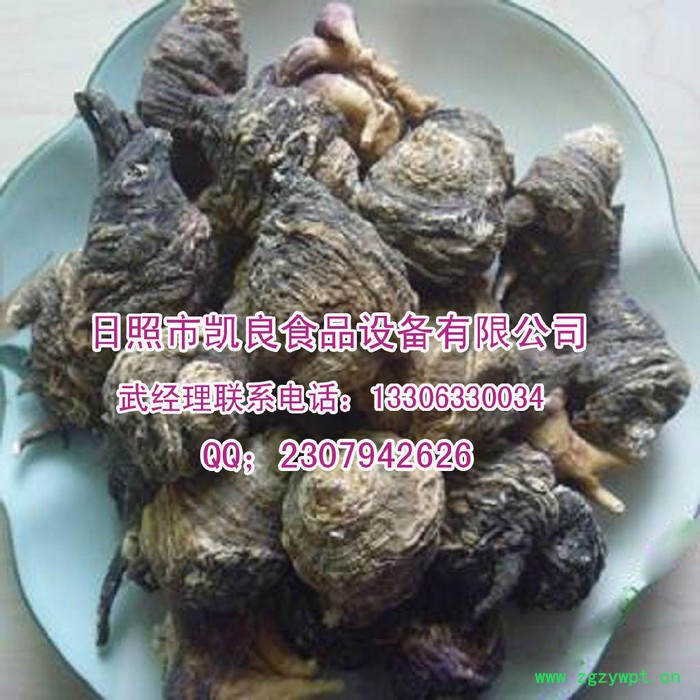 凯良KL系列 食品药材水果烘干机图8