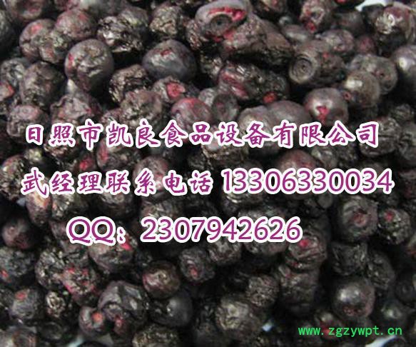 凯良KL系列 食品药材水果烘干机图3