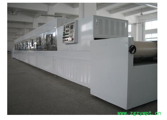 广州福滔FT—45S微波药材干燥杀菌设备 微波干燥设备图2