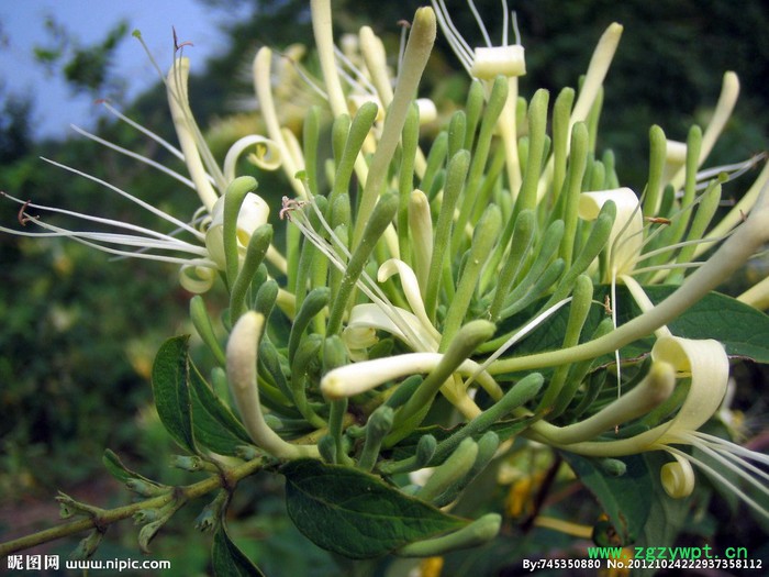 易科药材热泵烘干机 药材空气能烘干房 智能控制图3