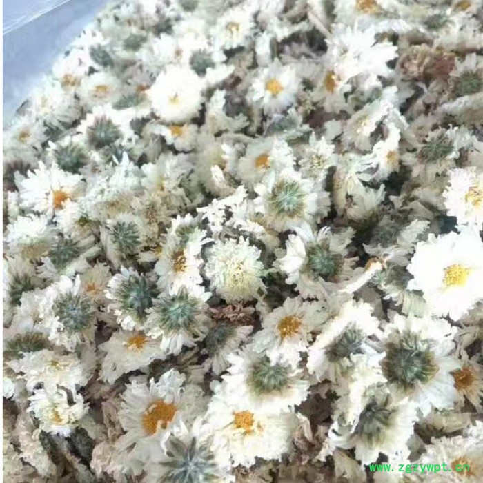 惠特高科HT-KRZH-6IV滁州药材热泵烘干机厂家定做图2