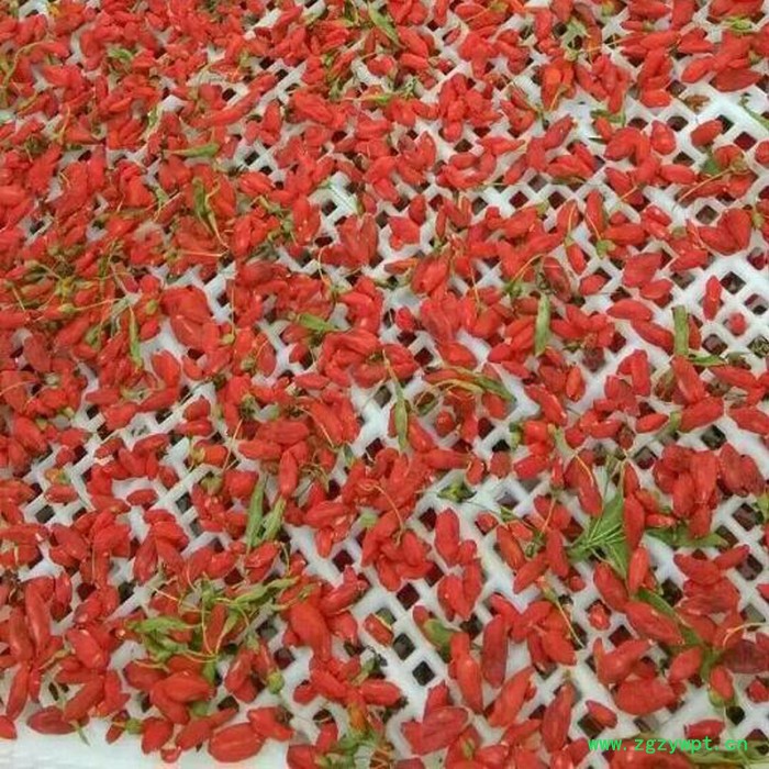 惠特高科HT-KRZH-6IV滁州药材热泵烘干机厂家定做图4