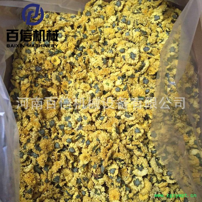 金花葵烘干机 4层连续式金花葵烘干机 干花花茶药材带式烘干设备图3
