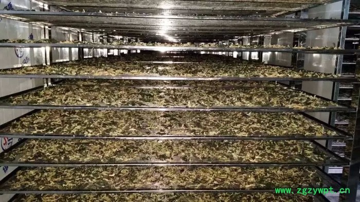小型蔬菜烘干机   蔬菜热泵烘干机 农产品烘干机 药材烘干机 食品烘干机图3