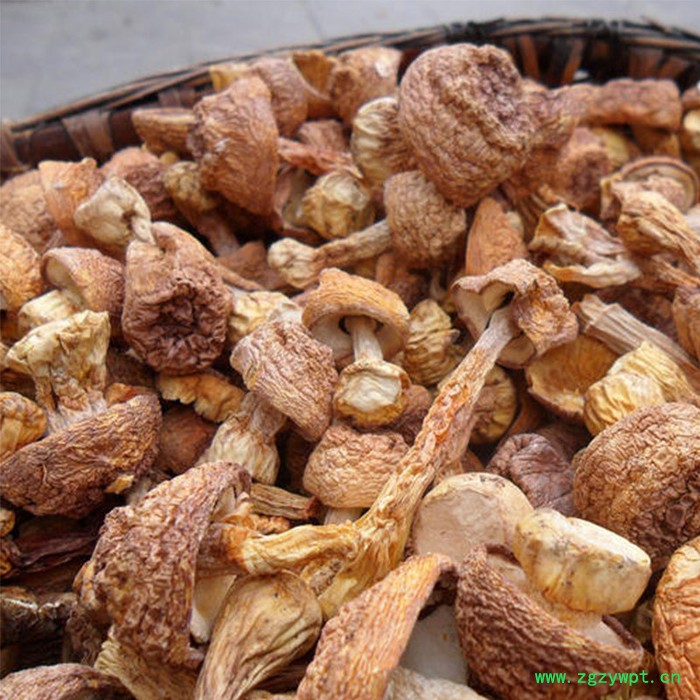 中药材烘干机连续式加工图2