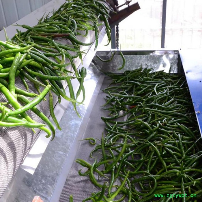 恒松  果蔬烘干机 药材烘干机 ** 价格低 质量好图5