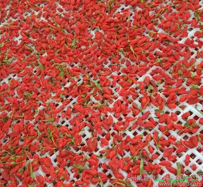 枸杞烘干机 枸杞空气能热泵烘干机  药材烘干机  箱式烘干机  招经销商图3