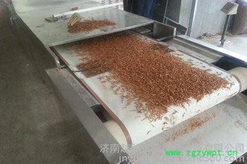 越弘微波烘干机_山东微波_中药材微波烘干机图2