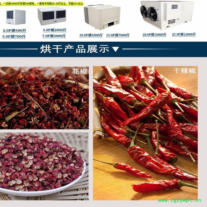 佛山20P当归流水线烘干机甘肃药材烘干机 金银花烘干机图7