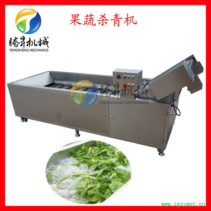 腾昇厂家白菜清洗机 中药材清洗设备 蔬菜漂汤机 304不锈钢制作