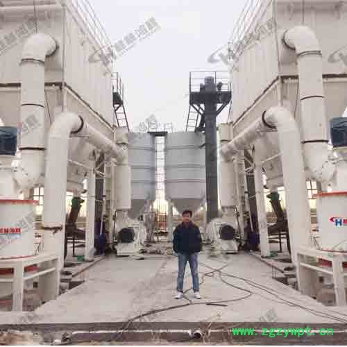 菱镁矿粉矿石超细粉碎机800目微粉环辊磨图2