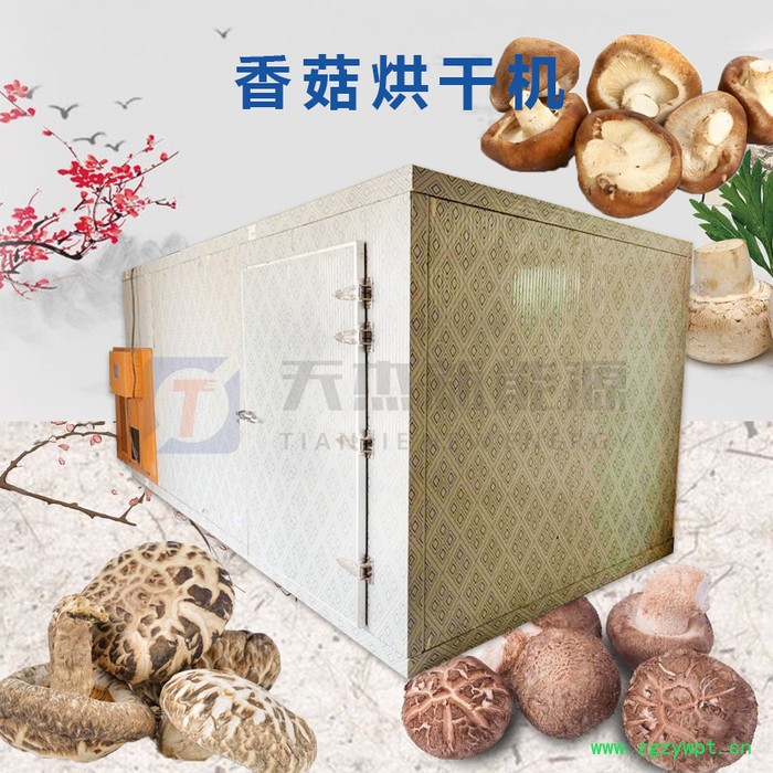 天杰 香菇药材烘干机 香菇烘干机图8