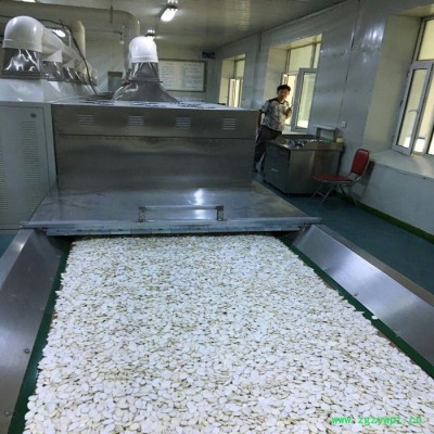 网带微波干燥机 食品微波烘干机 药品微波烘干机 烘干设备供应