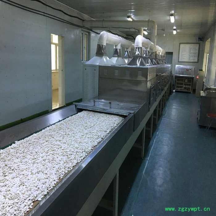 网带微波干燥机 食品微波烘干机 药品微波烘干机 烘干设备供应图2