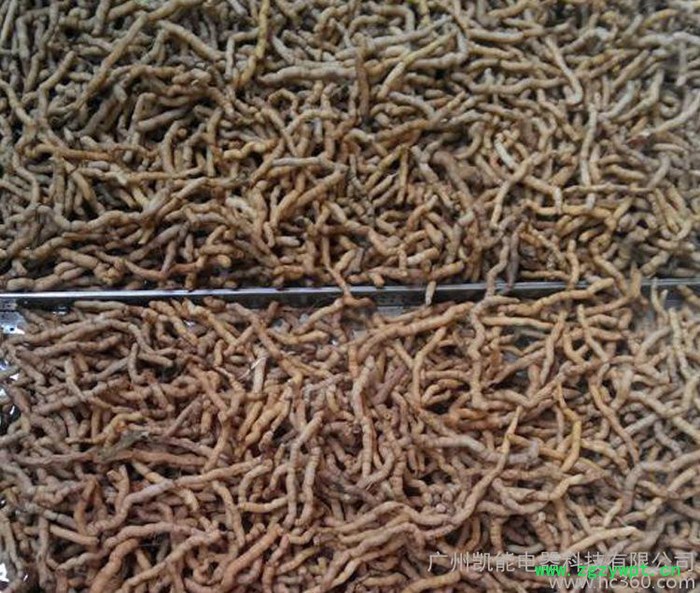 金凯 供应巴戟天烘干机/药材烘干机/热泵烘干机图2