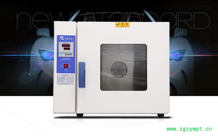 鼓风加热果蔬干燥箱 智能数显药材干燥箱 辣椒干燥箱图4