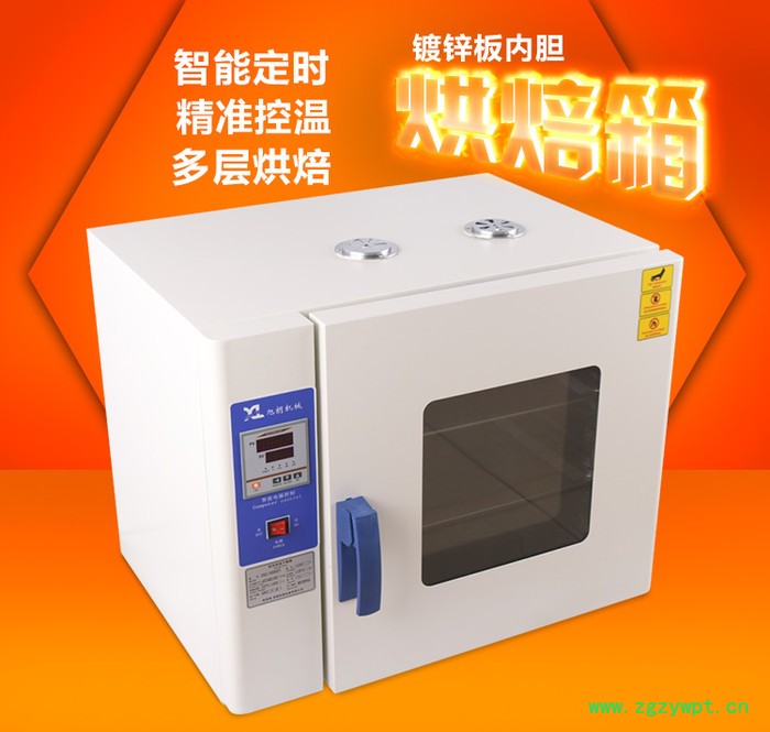 鼓风加热果蔬干燥箱 智能数显药材干燥箱 辣椒干燥箱图5