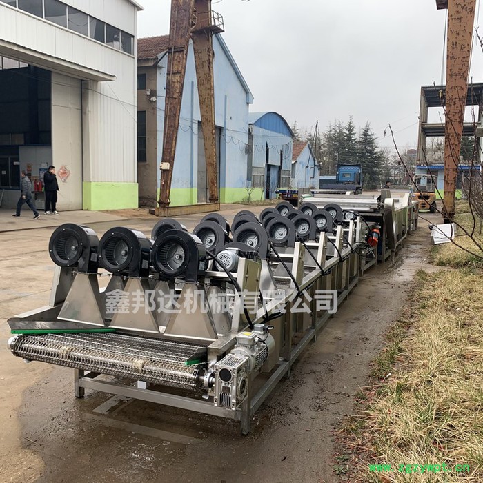 鑫邦达XBD-4000药材 翻转式风干机 大枣药材风干机设备 大型沥水风干流水线图4