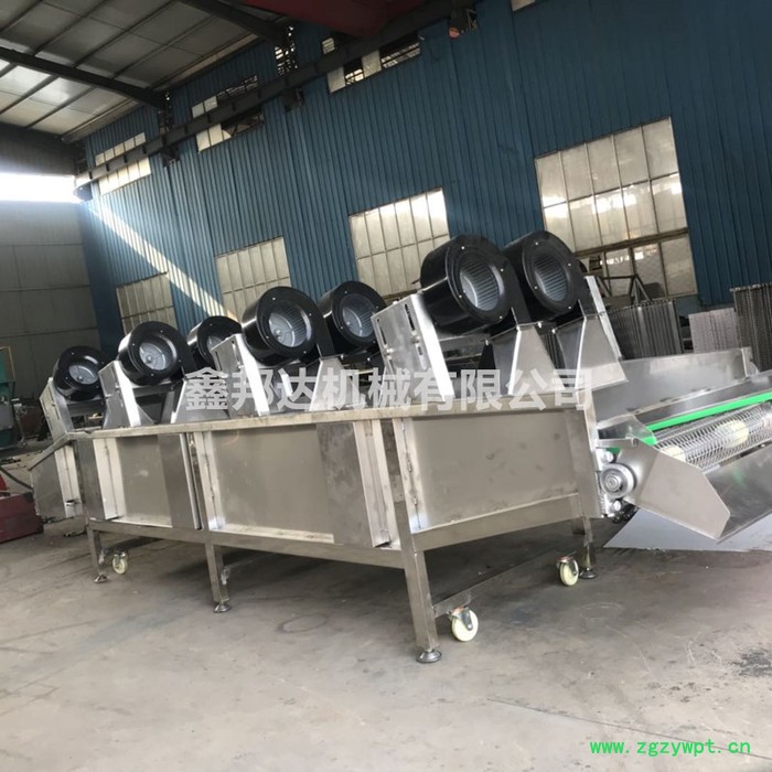 鑫邦达XBD-4000药材 翻转式风干机 大枣药材风干机设备 大型沥水风干流水线图3