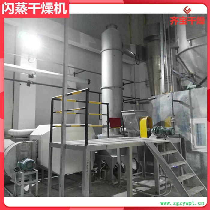 常州闪蒸干燥机厂家,百菌清烘干机,农药干燥机,14型闪蒸烘干机图2